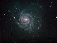 images_113